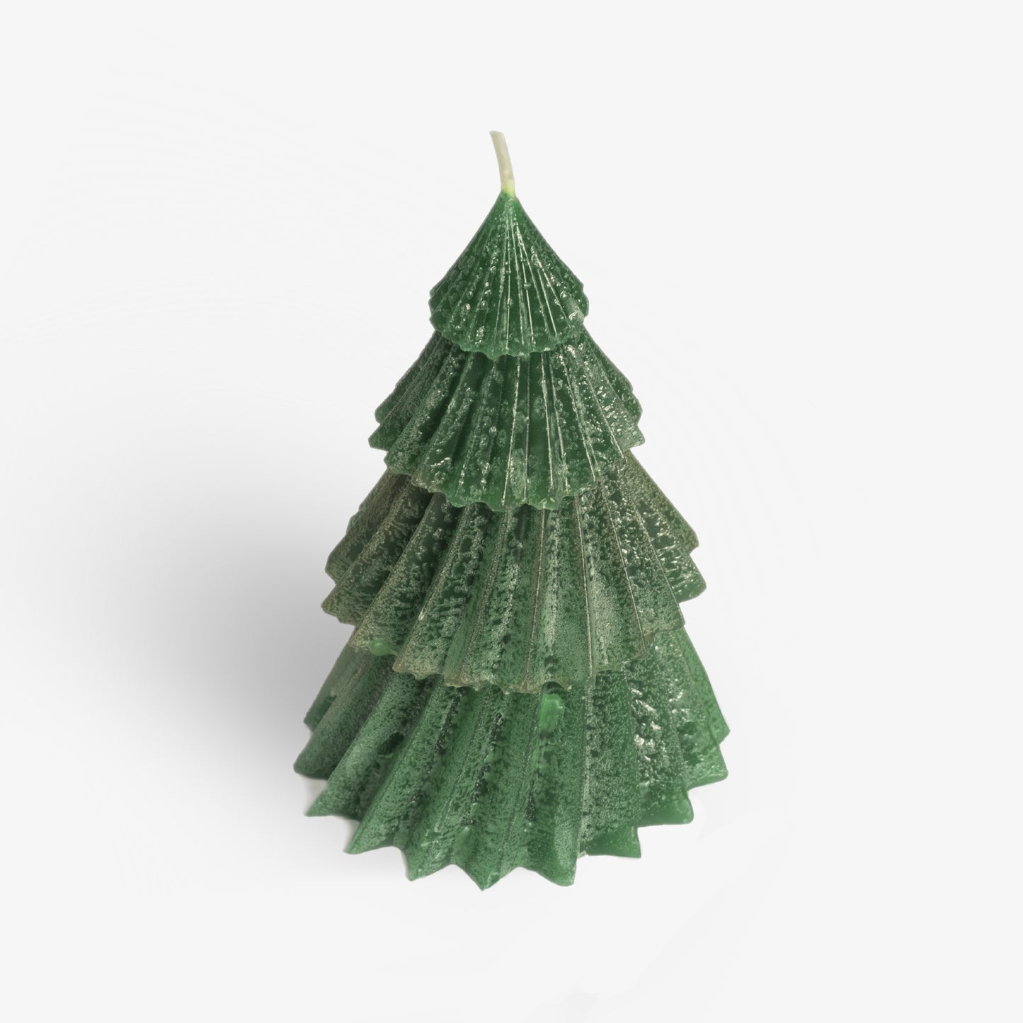 Vela de Navidad  Pino Abeto